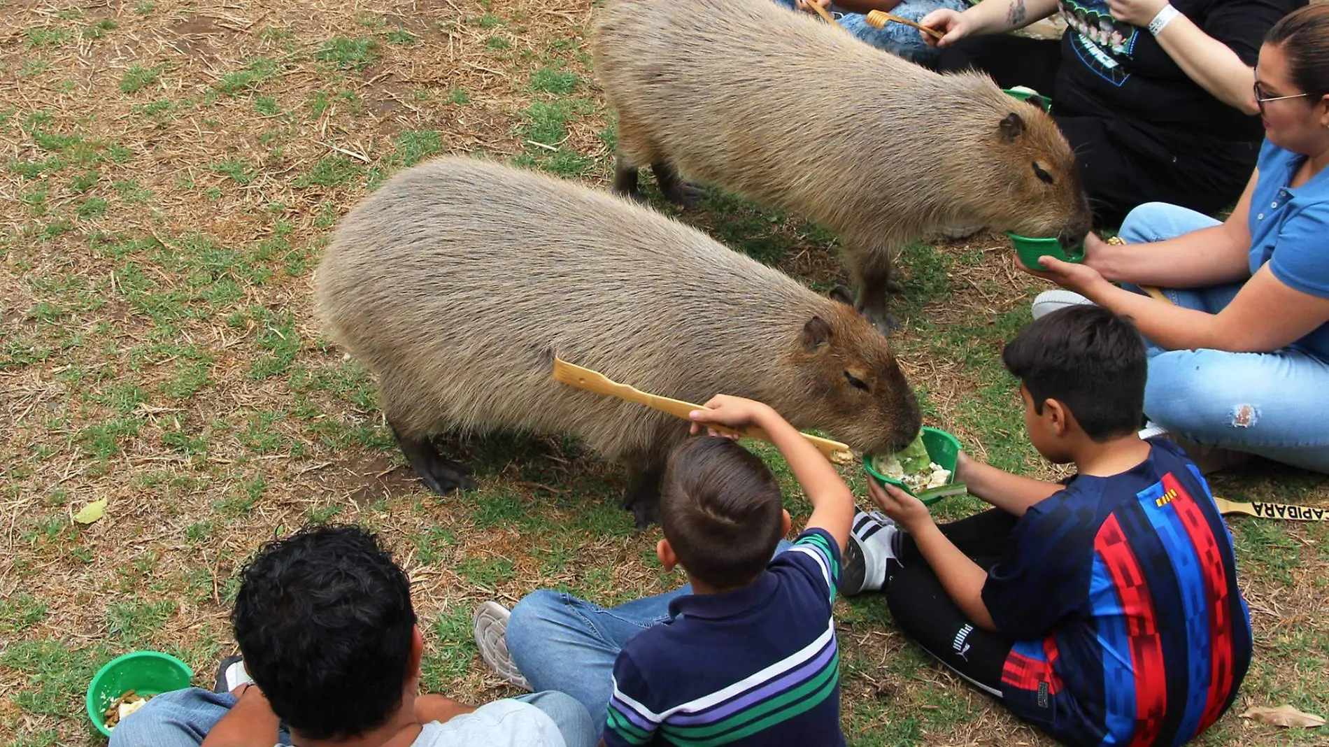 Zoológico Guadalajara Facebook